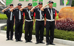 安保服務(wù)，得安保安就是專業(yè)